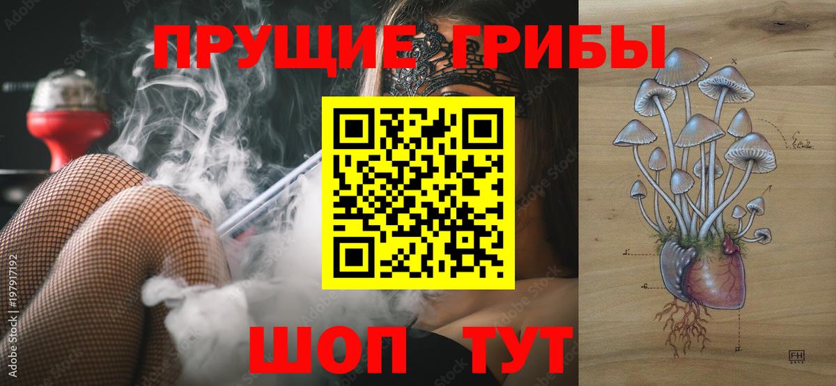 Псилоцибиновые грибы Cubensis Петрозаводск